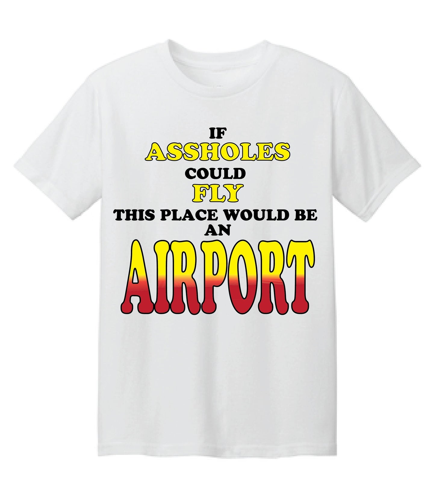 DRAKE  If Assholes Could Fly This Place Would Be An Airport Tee | Drake Tee | Funny Tee | Free Shipping